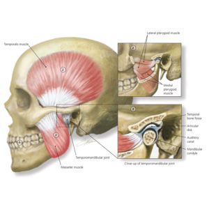 Chiropractic---Jaw-Pain---gesund