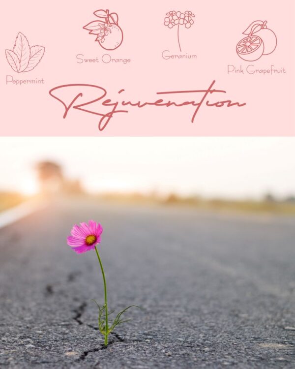 Aromatherapy Massage - Image 3
