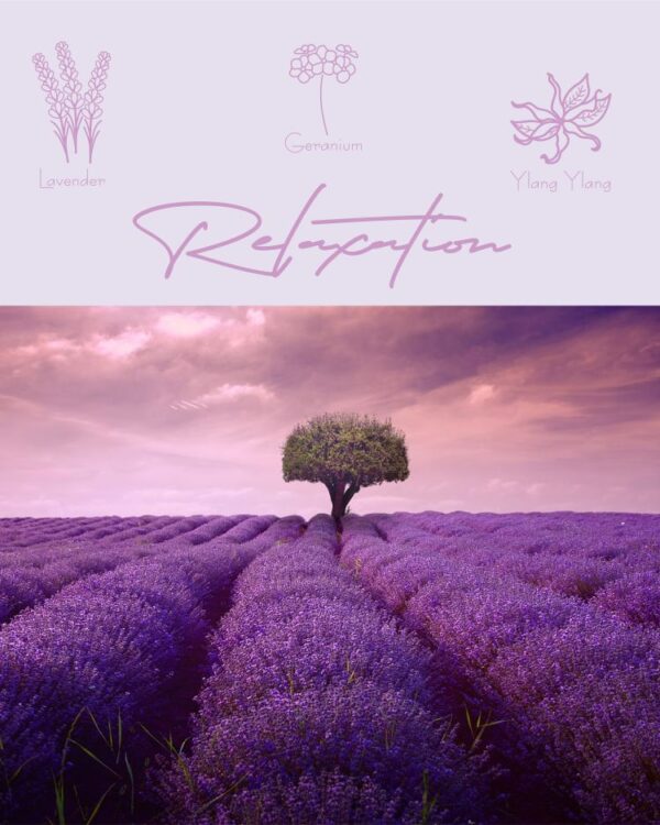 Aromatherapy Massage - Image 4